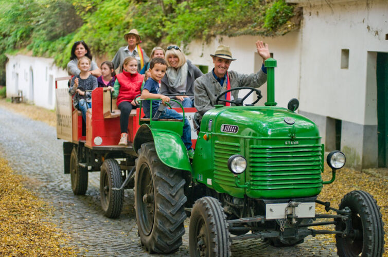 Schulprogramme TRAUBENERLEBNIS