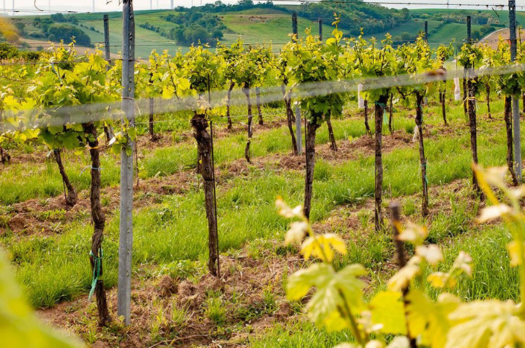 Angebote für Gruppen
