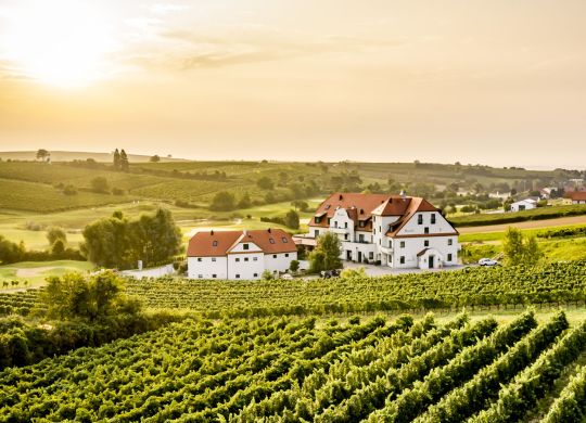 hotel-neustifter-weingarten