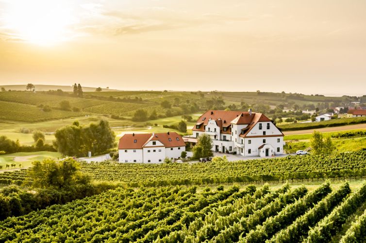 Poysdorfer treasure hunt