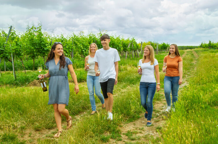 Vineyard walk