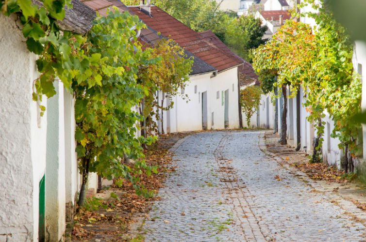 Kellergassenwanderung