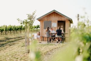 Weingartenhuette Hugl Wimmer